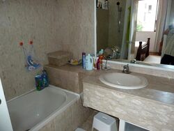 Sommerville Park (D10), Condominium #639109321